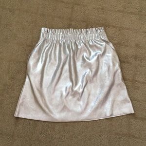 Zara Metallic Skirt